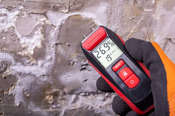Water Damage Restoration in Superior, AZ